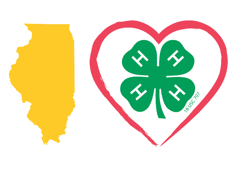 Logo for 2026 Fulton County Fair